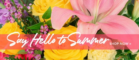 Summer Flowers Delivery - Send Summer Flowers